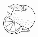 Citrus Pages Fruit Fruits Coloring Printable sketch template