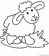 Sheep Pages Printable Coloring4free Coloring Kids Related Posts sketch template