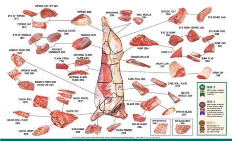 beef cuts wholesale butcher sydney  butchers meat delivery sydney meats bulk