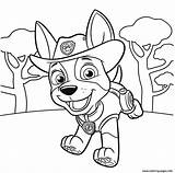 Patrol Paw Coloring Pages Pups Tracker Printable Jungle Pup Everest Colouring Getcolorings Color Getdrawings Choose Board Info sketch template