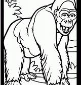Gorilla Coloring Pages Drawing Baby Kids Printable Monkey Color Smiles Funny Cute Gorillas Animals Animal Print Colorings Draw Back Monkeys sketch template