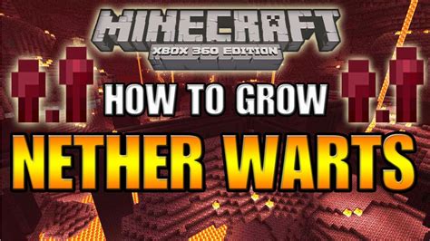 minecraft xbox 360 nether wart farm where to make it youtube