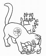 Coloring Pages Outline Kids Kittens Cat Kitten Animal Wuppsy Drawing Animals Popular sketch template