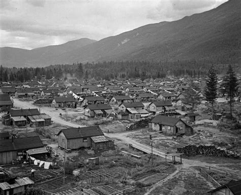 japanese canadians share stories of life in internment camps cbc radio