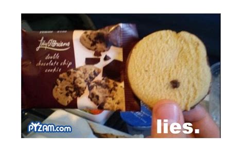just one chocolate chip hilarious examples of false advertising