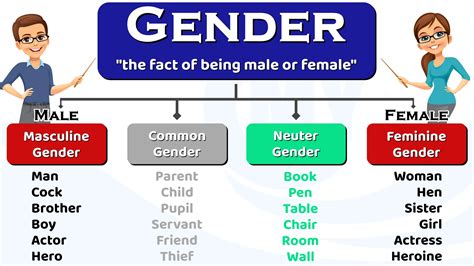 gender  english grammar   types  examples