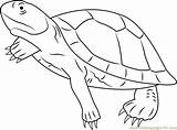 Turtle River Mary Coloring Pages Coloringpages101 Kids sketch template