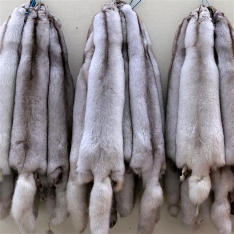 natural real blue fox fur skin pelts  garment   fur  home