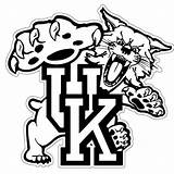 Wildcats Wildcat Ky Bully Scalable Bbn Kennel Vectorified Webstockreview Clipground Pngegg sketch template