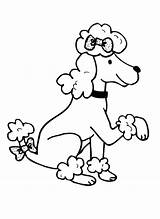 Poodle Coloring Pages Poodles Cartoon Paw Getdrawings Drawing Popular Template sketch template