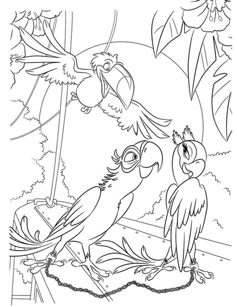 lovely birds coloring pages  kids  printable birds coloring
