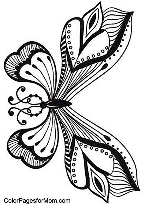 butterfly coloring page  butterfly coloring page butterfly drawing