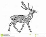 Cerfs Adultes Colorier Vecteur Communs Zentangle Reindeer Choisir sketch template