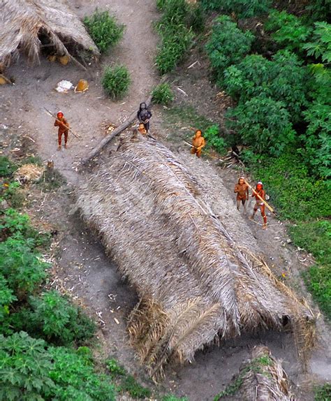アマゾン奥地に新たな先住民、写真公開 違法伐採で生存の危機 写真11枚 国際ニュース：afpbb News