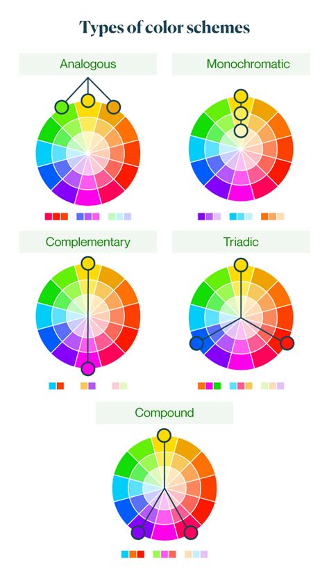 choose  websites color scheme  tools   upwork
