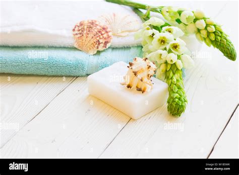 sea shell spa concept stock photo alamy