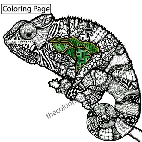 zentangle lizard coloring page animal  thecoloringaddict  etsy