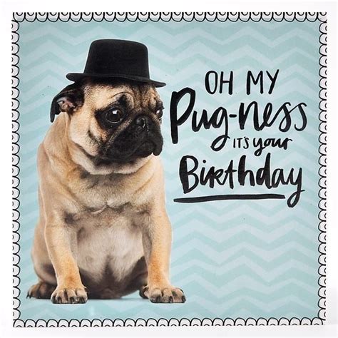 happy birthday pug birthday wishes  friend happy birthday
