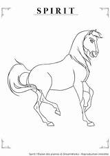 Cheval Stallion Kleurplaat Paard Dreamworks Lineart Colorare Crayon Leuke Kleurplaten Chevaux Ccm2 Coloriages Pferde Cimarron Ani Brithday Urari Partager sketch template