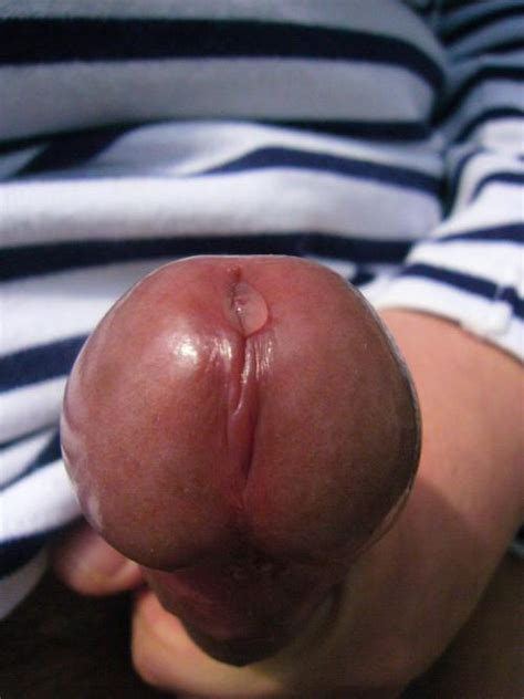 close up penis head glans