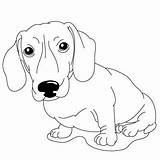 Dachshund Coloring Pages Drawing Dog Dachshunds Drawings Draw Kids Printable Cartoon Color Cliparts Lessons Clipart Disegnare Disegni Animali Animals Daschund sketch template