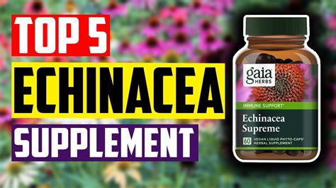 best echinacea supplement top 5 best echinacea supplement for immune