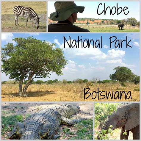 Chobe National Park Botswana Post Obligatory Traveler