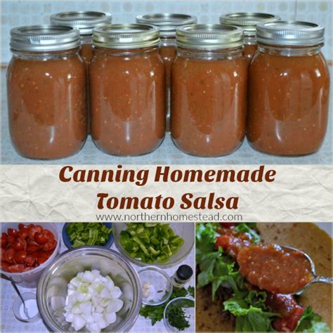 canning homemade tomato salsa northern homestead
