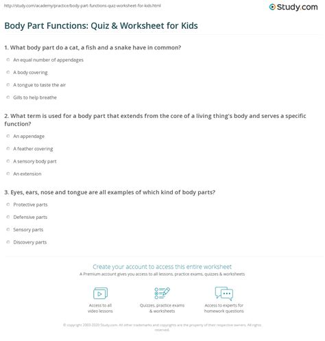body part functions quiz worksheet  kids studycom