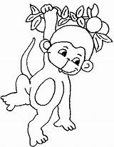 Monkey Coloring Baby Tree Hanging Kids Cute Pages Size Print Color sketch template