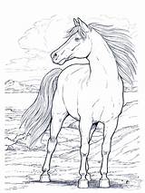 Horse Coloring Pages Printable Horses Colouring Online Kids Cheval Wild Head sketch template