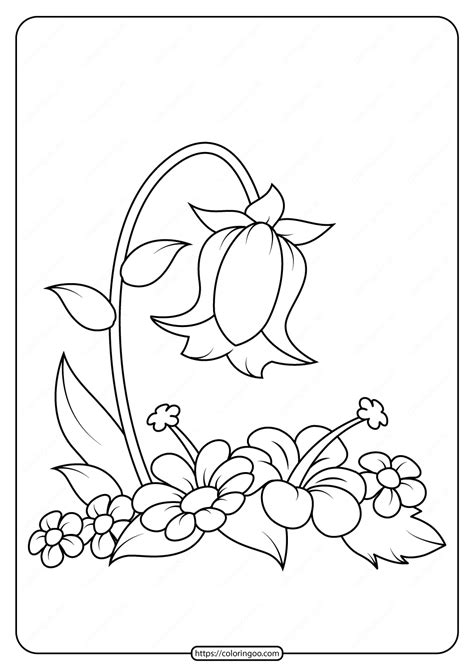 flowers coloring pages  boringpopcom