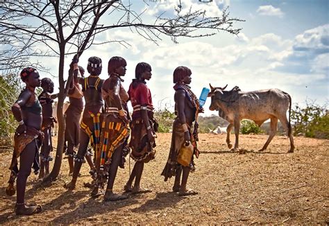 Hamar Women Omo Ethiopia Rod Waddington Flickr