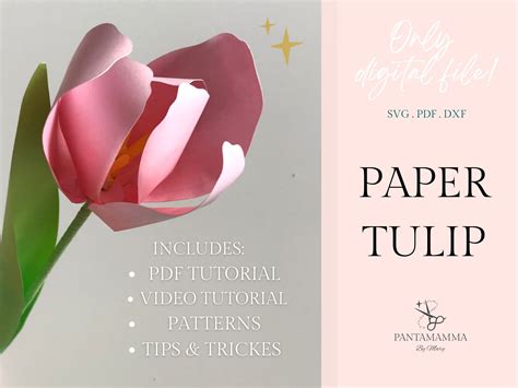 paper tulip template tulip svg dxf   paper flowers etsy