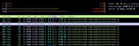 docker nuxt  processes running  running dev server stack