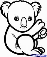 Koala Draw Baby Coloring Bear Drawing Pages Cute Outline Step Line Color Kids Simple Clipart Bears Sketch Animals Colouring Koalas sketch template