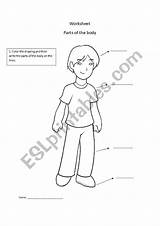 Head Shoulders Toes Knees Worksheet Worksheets Body sketch template