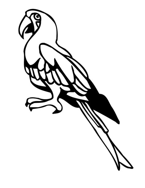 tropical bird coloring pages coloring home