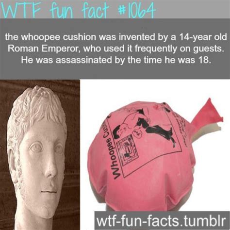 wtf fun fact on tumblr