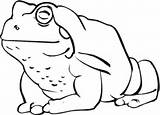 Toad Coloring Pages Printable Clipart Cartoon Kids Toads Cliparts Outline Color American Library Supercoloring Categories sketch template