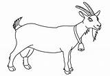 Clipart Goat Coloring Drawing Transparent Webstockreview Goats Book sketch template