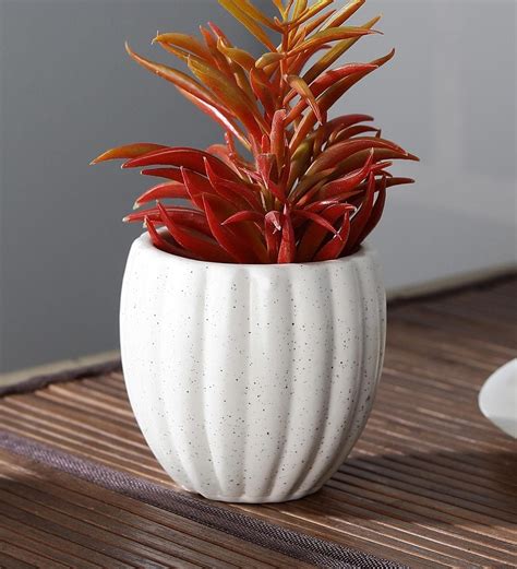 buy white ceramic pumkin shaped flower pot  cdi  desk pots
