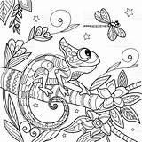 Chameleon Antistress Kameleon Lizard Tekening Branch Zentangle Dragonfly Illustratie Spazzola Cinese Lucertola Camaleonte Libellula Inchiostro Libel Sterren Hagedis 8x11 Kleurplaten sketch template