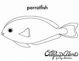 Parrot Fish Coloring Pages Getcolorings Color Printable Print Template Sketch sketch template