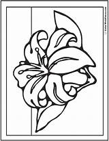 Coloring Lily Spring Flowers Stargazer Pages Printables Drawing Getdrawings Sheet Customizable Colorwithfuzzy Fun sketch template