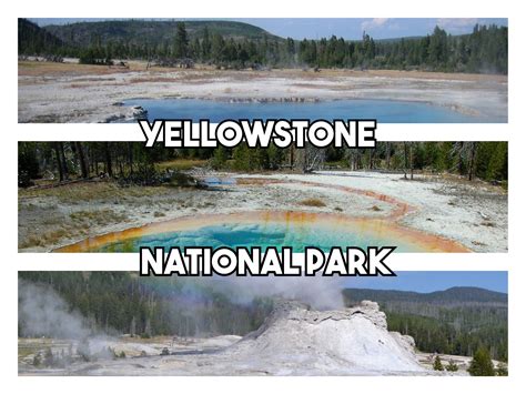 yellowstone national park facts yellowstone national park facts national parks yellowstone
