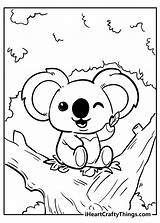 Koala Iheartcraftythings Sheet Supercoloring Pew sketch template