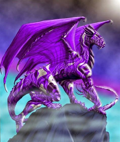 purple dragon fantasy dragon dragon artwork dragon pictures