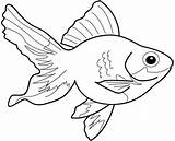 Coloring Bluegill Pages Getdrawings sketch template