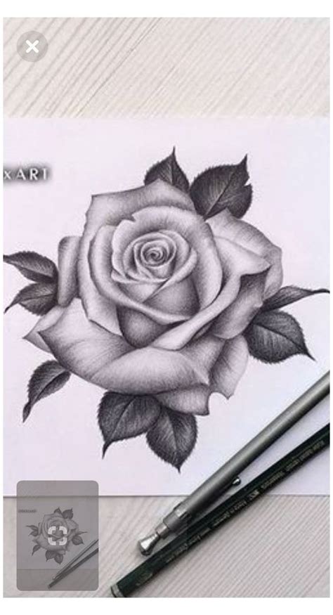 Distintas Ideas De Rosas Para Dibujar